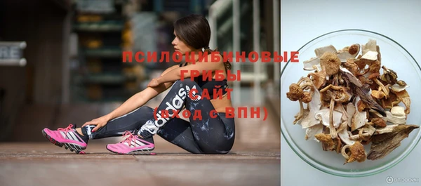 мдпв Богданович