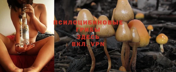 мдпв Богданович