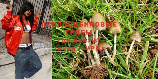 мдпв Богданович