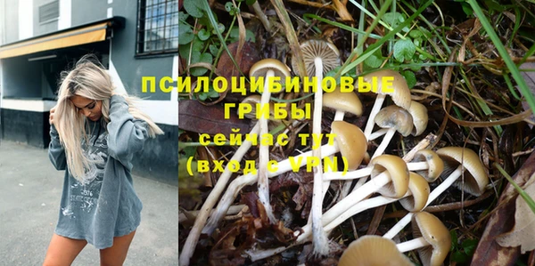 мдпв Богданович