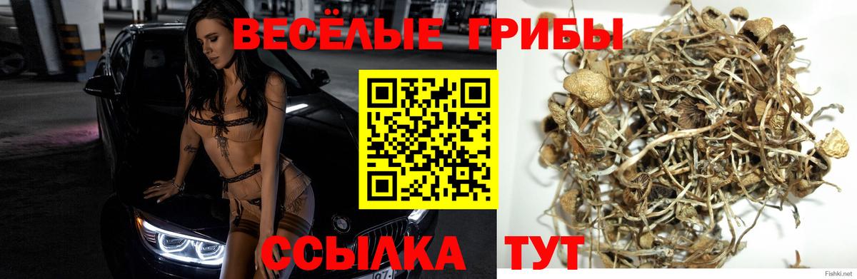 Валуйки  Псилоцибиновые грибы Cubensis  Галлюциногенные грибы прущие грибы  Вход с VPN 